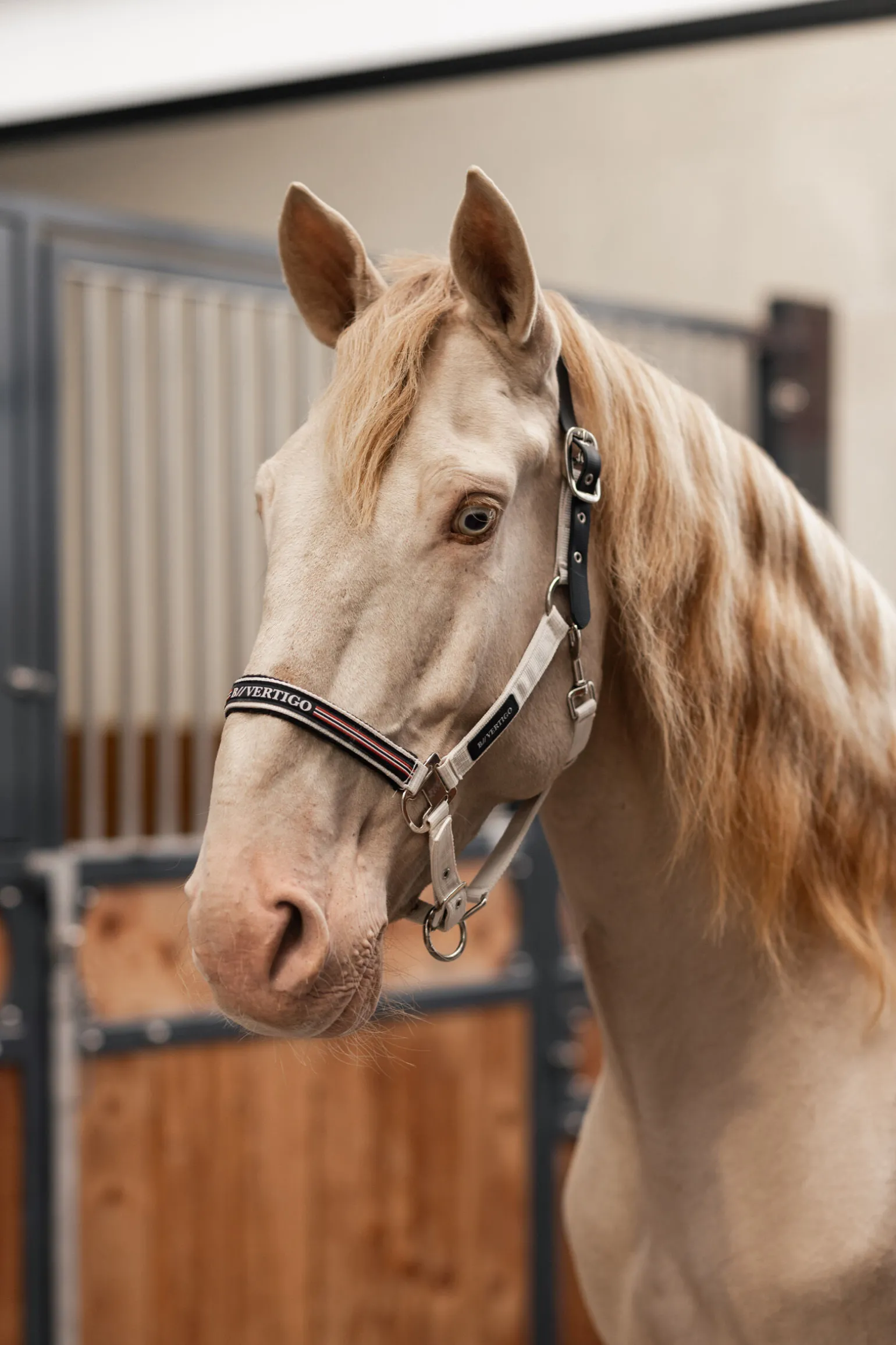 B Vertigo Empowerment Field-Safe grime