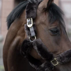 B Vertigo Tremblant grime med saueskinn
