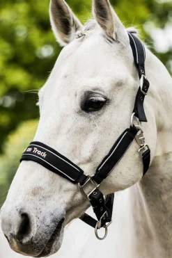 Back on Track Werano grime