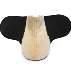 Christ innlegg til sjabrak SD Champ