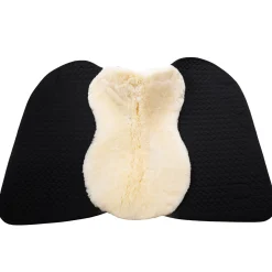 Christ Shabrack Champ S