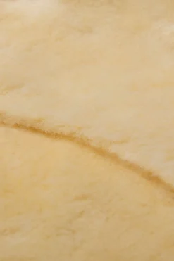 Christ Shabrack Spesial D