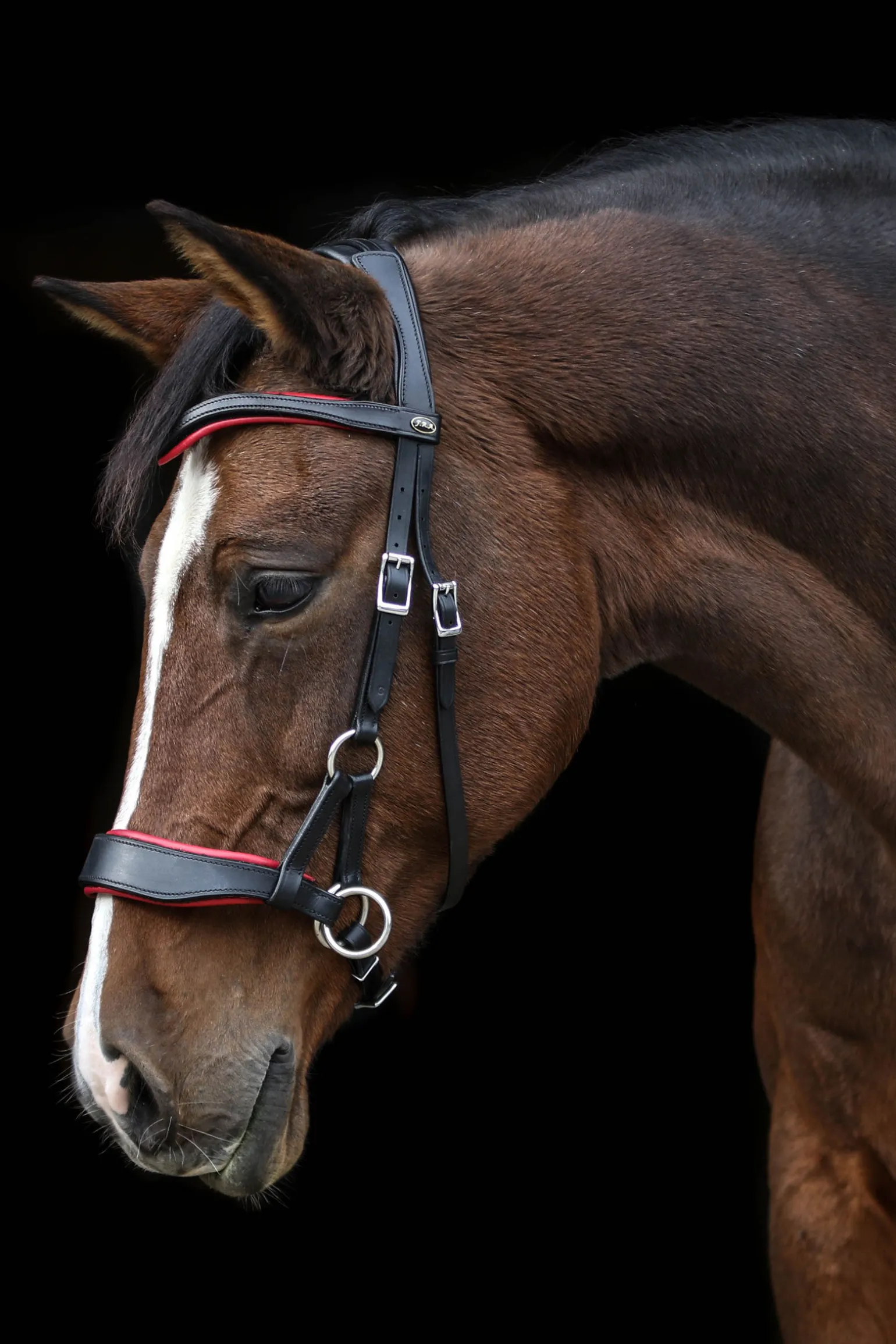 F.R.A. Freedom Riding Articles Aruba bittløst hodelag med tøyler (system 3)