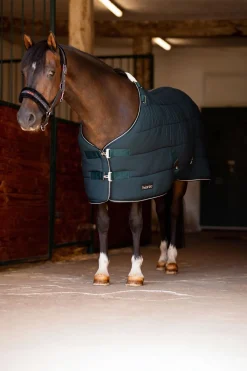 Glasgow ponnidekken for stall