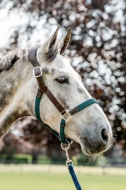 Horseware Signature flettet grime