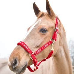 Horze Hamptons grime