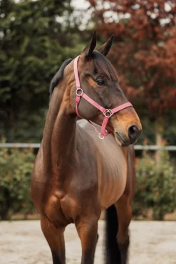 Horze Rose Tonique grime