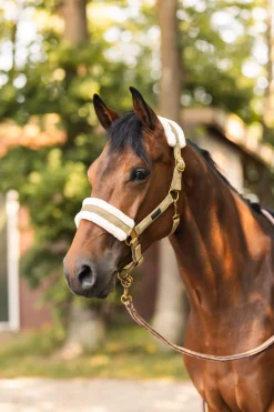 Horze St. Moritz leietau med panikkrok