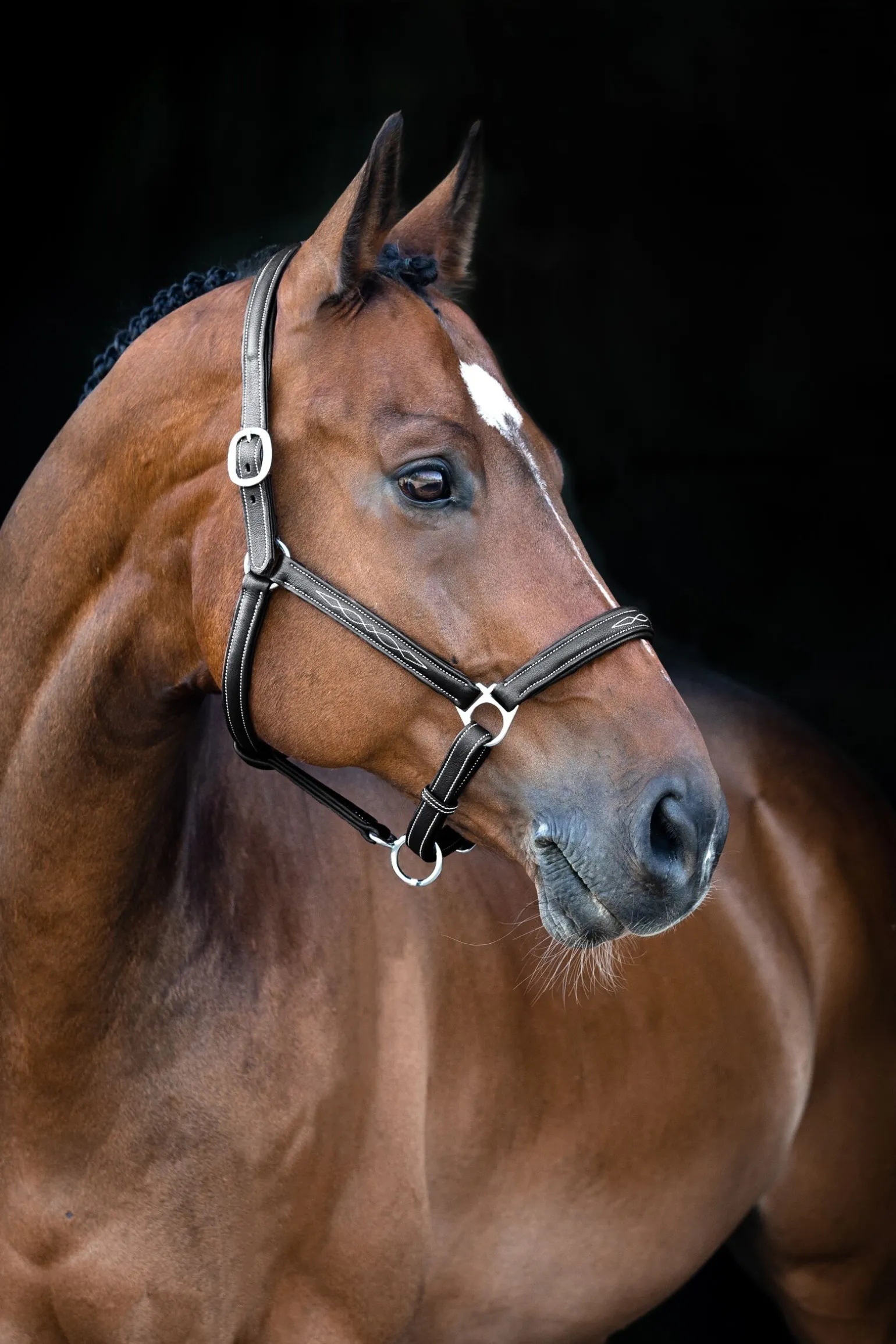 Horze Warren myk lærgrime