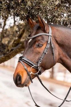 Horze Wicklow pannebånd