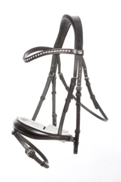 Kavalkade Charlotte dressurhodelag med pullback nesereim