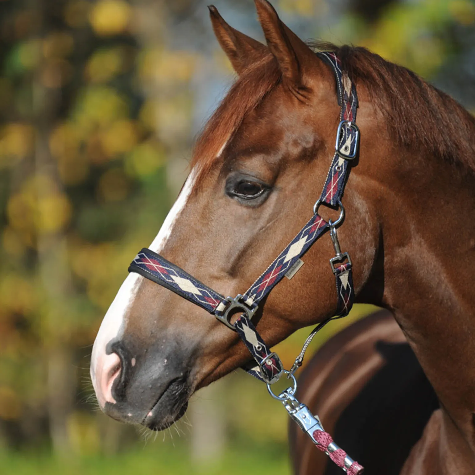 Kavalkade Classic Raute grime