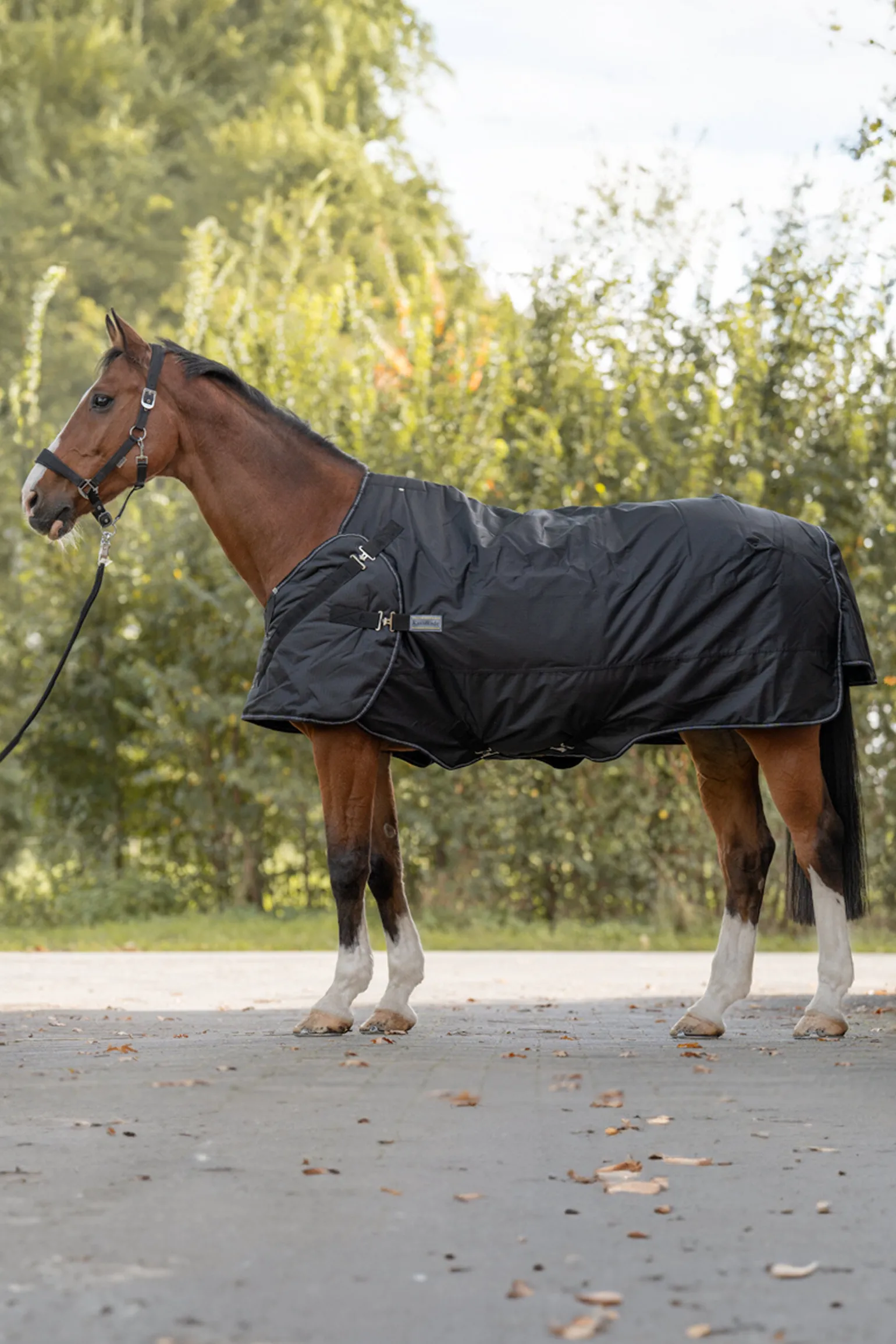 Kavalkade Halifax 2-i-1 Utedekken og Walker-dekken 200g