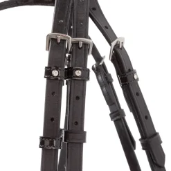 Kavalkade Reyna KavalSH4 hodelag