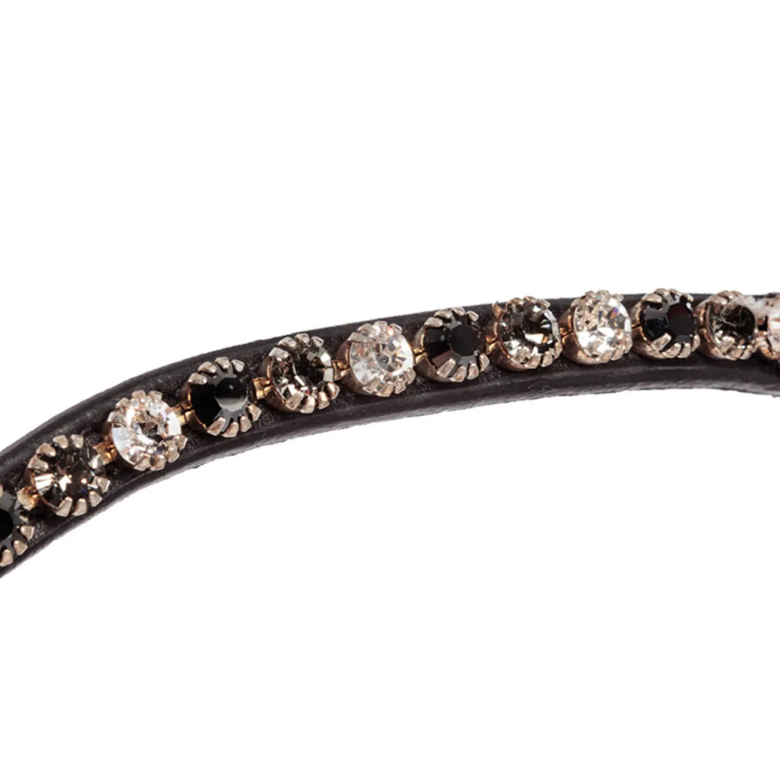 Kavalkade Reyna KavalSH4 hodelag