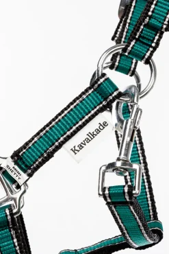 Kavalkade Shorty Grime for Shetlandsponnier