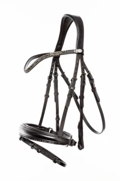 Kavalkade Victoria Hodelag