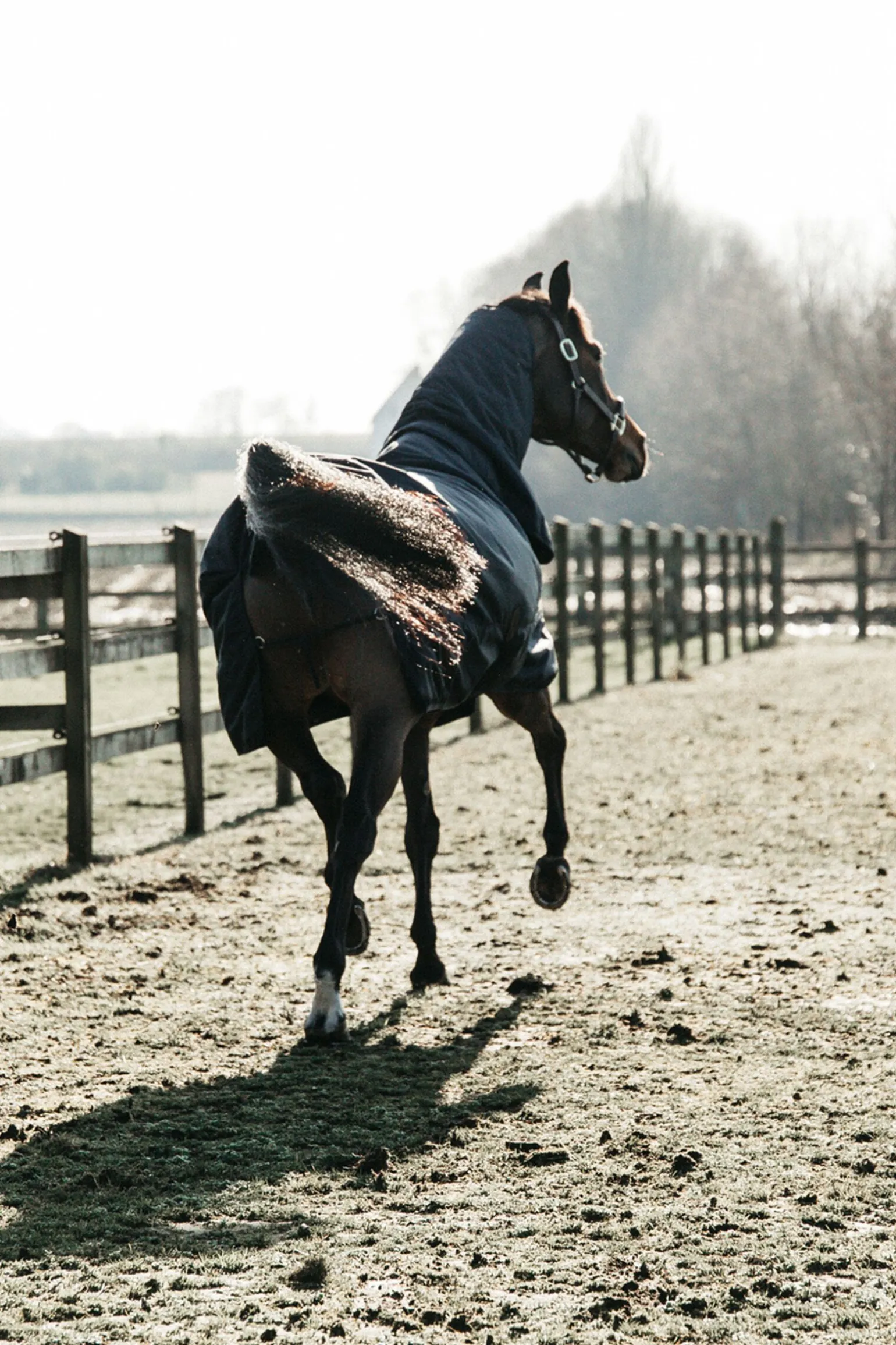 Kentucky Horsewear All Weather Waterproof Classic utedekken, 50 gram