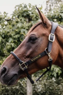 Kentucky Horsewear anatomisk lærgrime