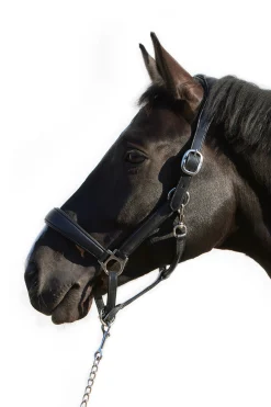 Kieffer Ultrasoft® Deluxe lærgrime