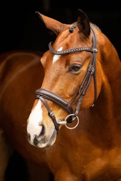 LeMieux Arika dressurhodelag