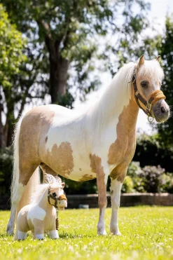 LeMieux Lemon lekepåni