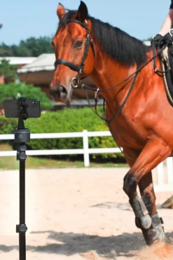 Pivo Pod Silver Essential Set