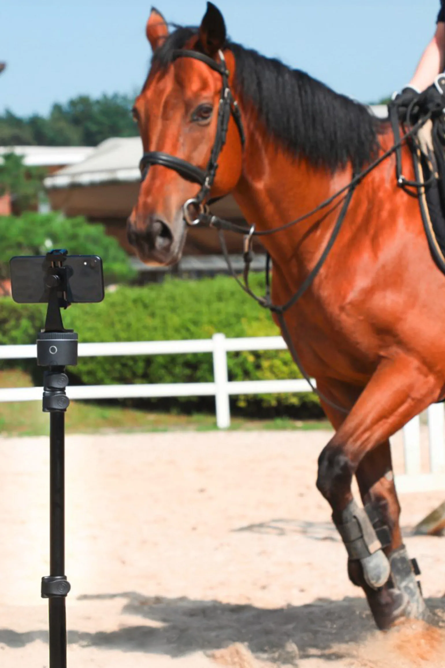 Pivo Pod Silver Essential Set