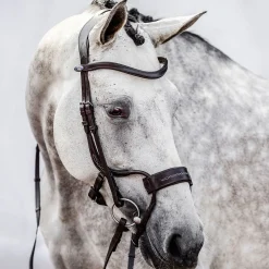 PS of Sweden High Jump hodelag