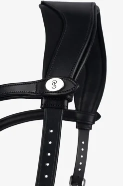 PS of Sweden Hodelag King Edward