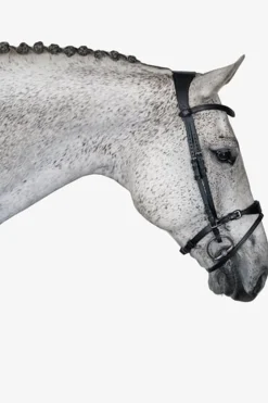 PS of Sweden Hodelag, Mary Lou av Henrik von Eckermann