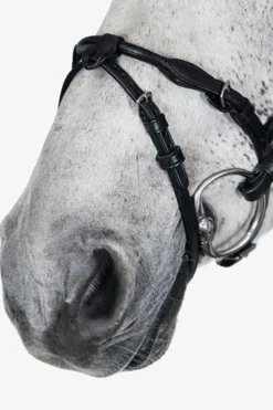 PS of Sweden Hodelag, Mary Lou av Henrik von Eckermann