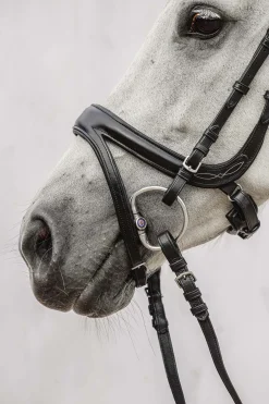 PS of Sweden Jump Off hodelag