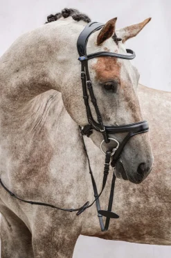 PS of Sweden Jump Off hodelag