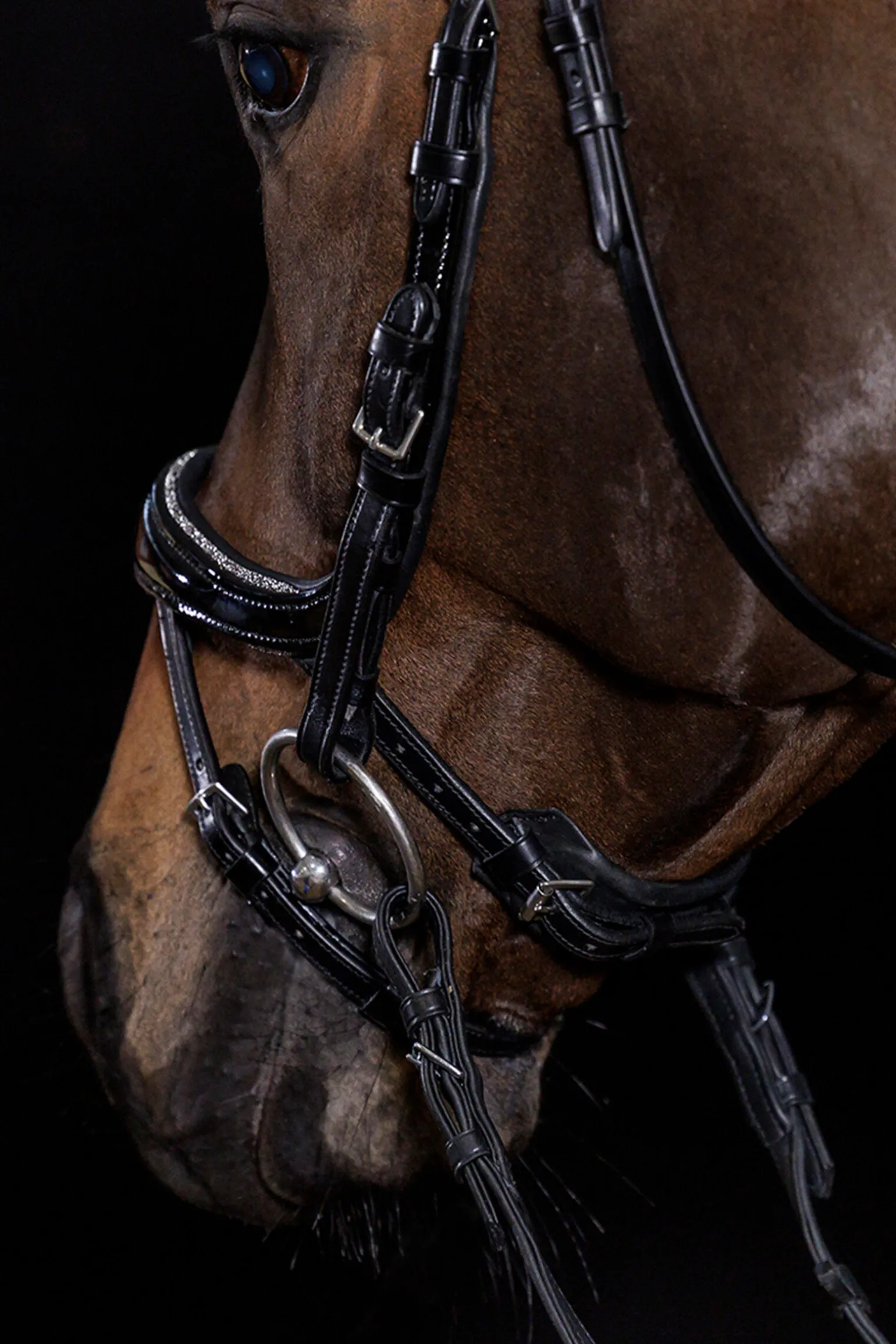 Schockemöhle Sports Equitus Beta Glam hodelag