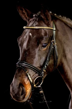 Schockemöhle Sports Heidelberg hodelag