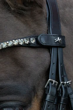 Schockemöhle Sports Milazzo Kandar