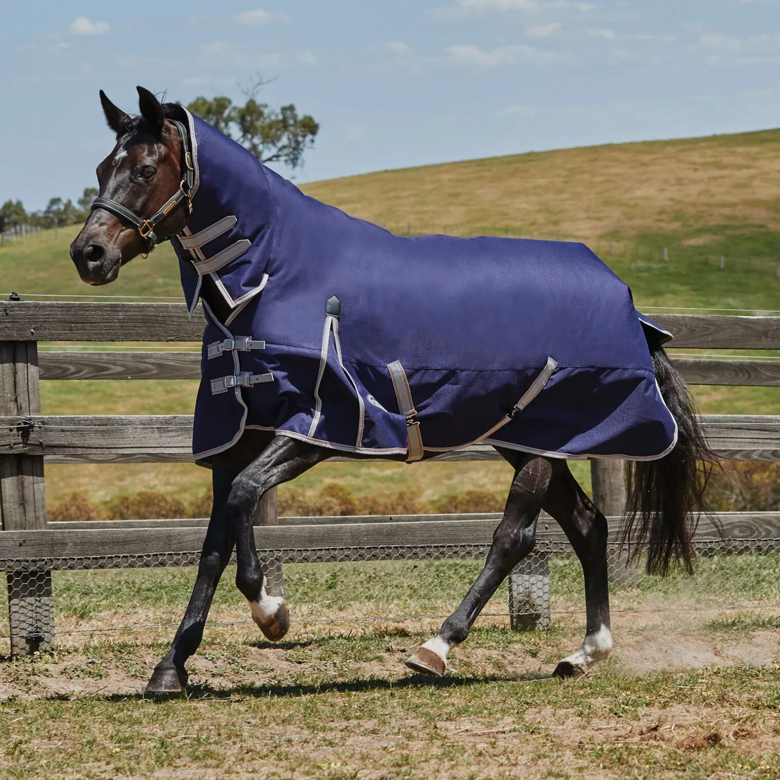 Weatherbeeta Comfitec Essential hel hals, lett pluss