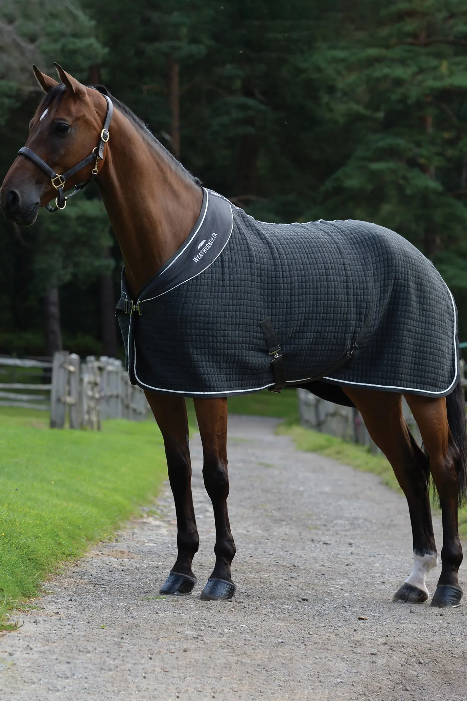 Weatherbeeta Thermocell cooler